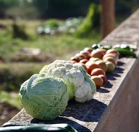 Ferienhaus Wabisabi Townhouse