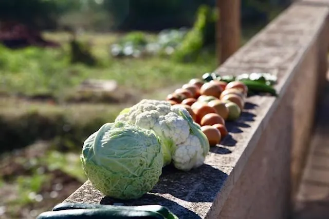 Vakantiehuis Wabisabi Townhouse