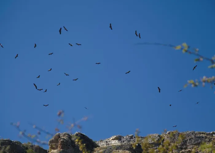 Wabisabi Townhouse Montejo de la Vega de la Serrezuela